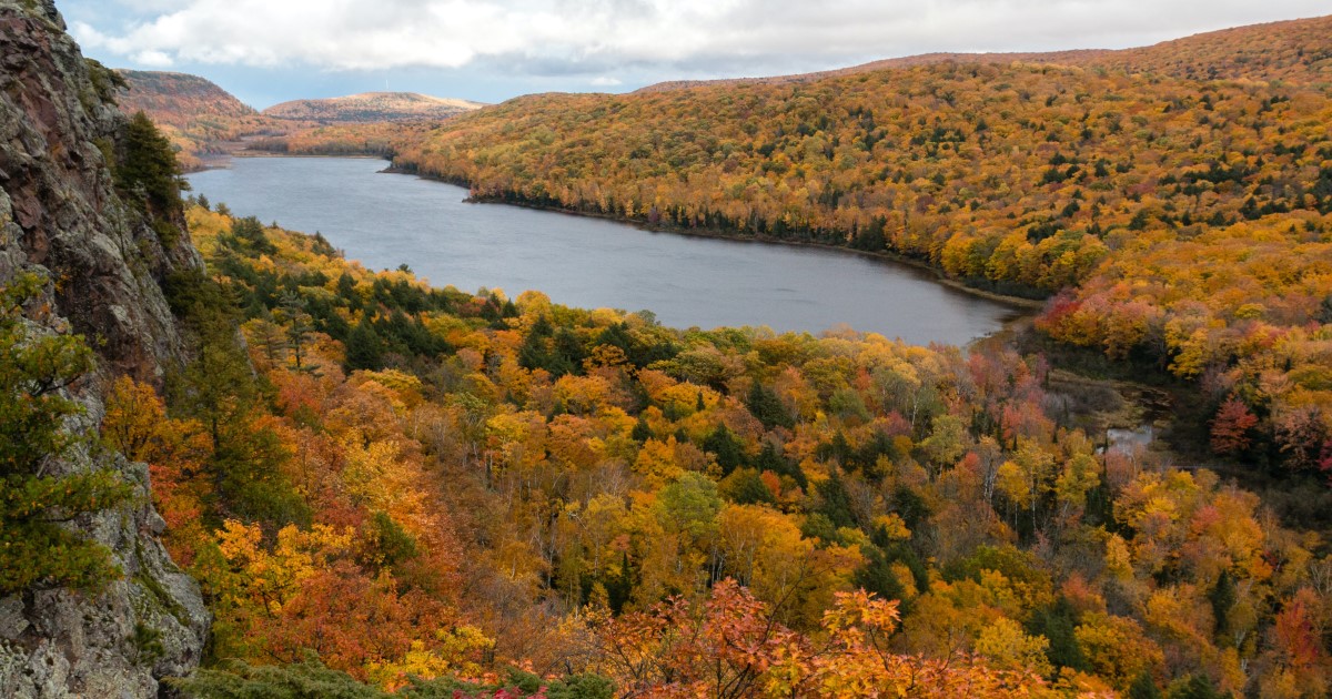Green Zoned Property In Omer, MI Arenac County